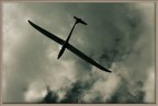 Ombra d'Aliante