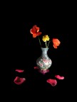Fleurs
