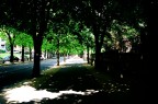 Una delle mie prime foto con la reflex, non ho molta esperienza, ma mi  venuto questo effetto particolare.
Strada principale della mia citt.