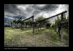 Una tipica giornata di giugno