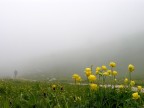 Non andare via
