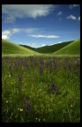 incontro castelluccio