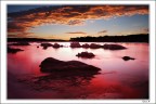 Alba