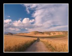 ...COUNTRY ROAD...