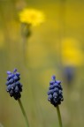 Servono per raccogliere tutta l'acqua che ci stiamo beccando