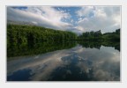 X reflected