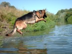 Il tuffo.......