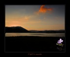 A light to remember