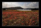Lago rosso....