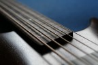 Il mio fretless