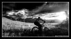 FreeForMe