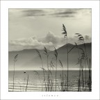 silence