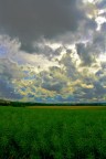Pays en Othe (1)
