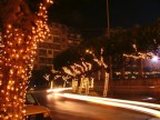 alberi in festa attorno alla statua della libert