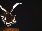 la statua della libert vista dal basso