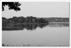 Al lago