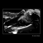 Stefano Bollani in action Stefano Bollani in action