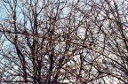 loro vivono con il sole e l'acqua, la terra  una risorsa ke nn dobbiamo sprecare