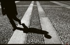 Per le linee evolutive Per le linee evolutive