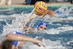 [Pallanuoto] Torneo 4 Nazioni LEN -  Stoccarda