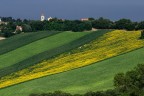 San Silvestro, campagna marchigiana in queste ore afose