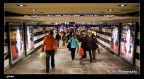 una giornata settimanale in stazione centrale a Zurigo...la gente che camminava affrettata a dx e a manca per prendere il treno....


commenti e critiche son ben accetti ;)