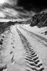 Cosa ne pensate di questo B&W?