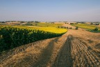 hei ragazzi il sole  dall'altra parte