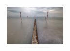 Road Without Escape