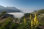 Sibillini