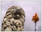 Passione e Potere