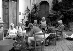 Lavaggio della trippa per la fiera del paese.