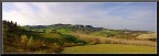 campagna pisana...