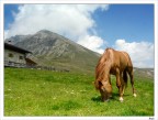 Fattoria_02