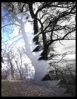 La foto  chiaramente ritoccata,ma solo per creare l'effetto desiderato non sul bilanciamento colori!