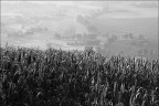 paesaggio