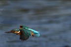 panning