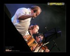Korriganed live