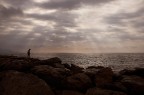 alba