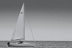 Barca a vela