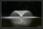 20D Tamron 90 1/8000 f/5 400ISO