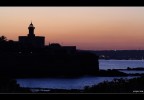 Faro