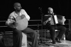musici