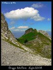 Gruppo delle Panie -- Vista dell'Omo morto