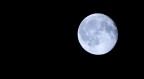 Luna..1.1