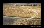 Val d'Orcia - Luglio 2008