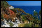 colori mediterranei