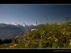 Vista sulle montagne svizzere al confine con l'Italia