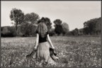 Sogno