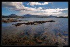 beara